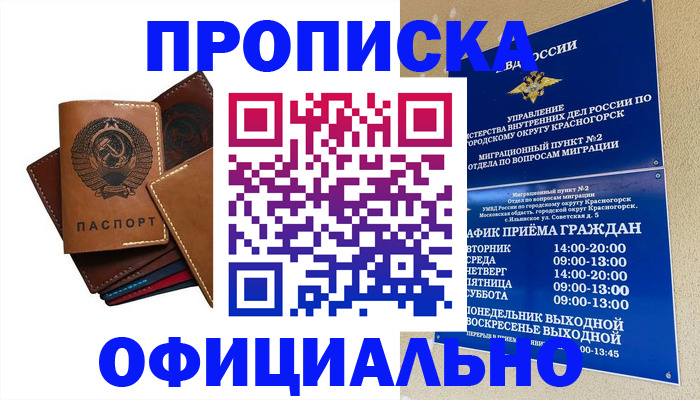 временная прописка в Шагонаре